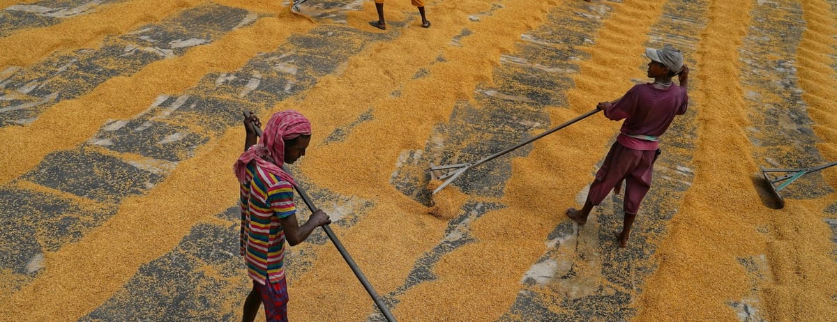 UK — Modern Slavery Act (MSA)